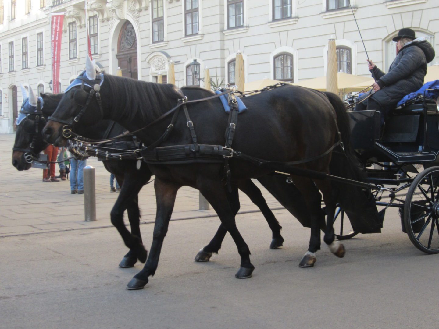 Vienna's Christmas magic