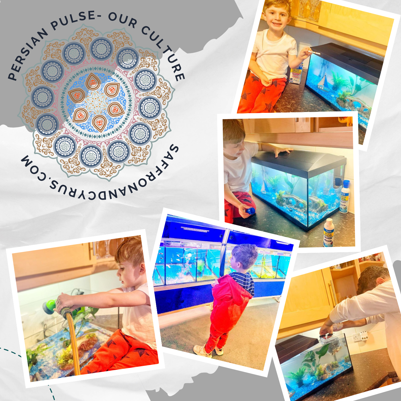 Persian Nowruz and freshwater fish: fun and learning for families