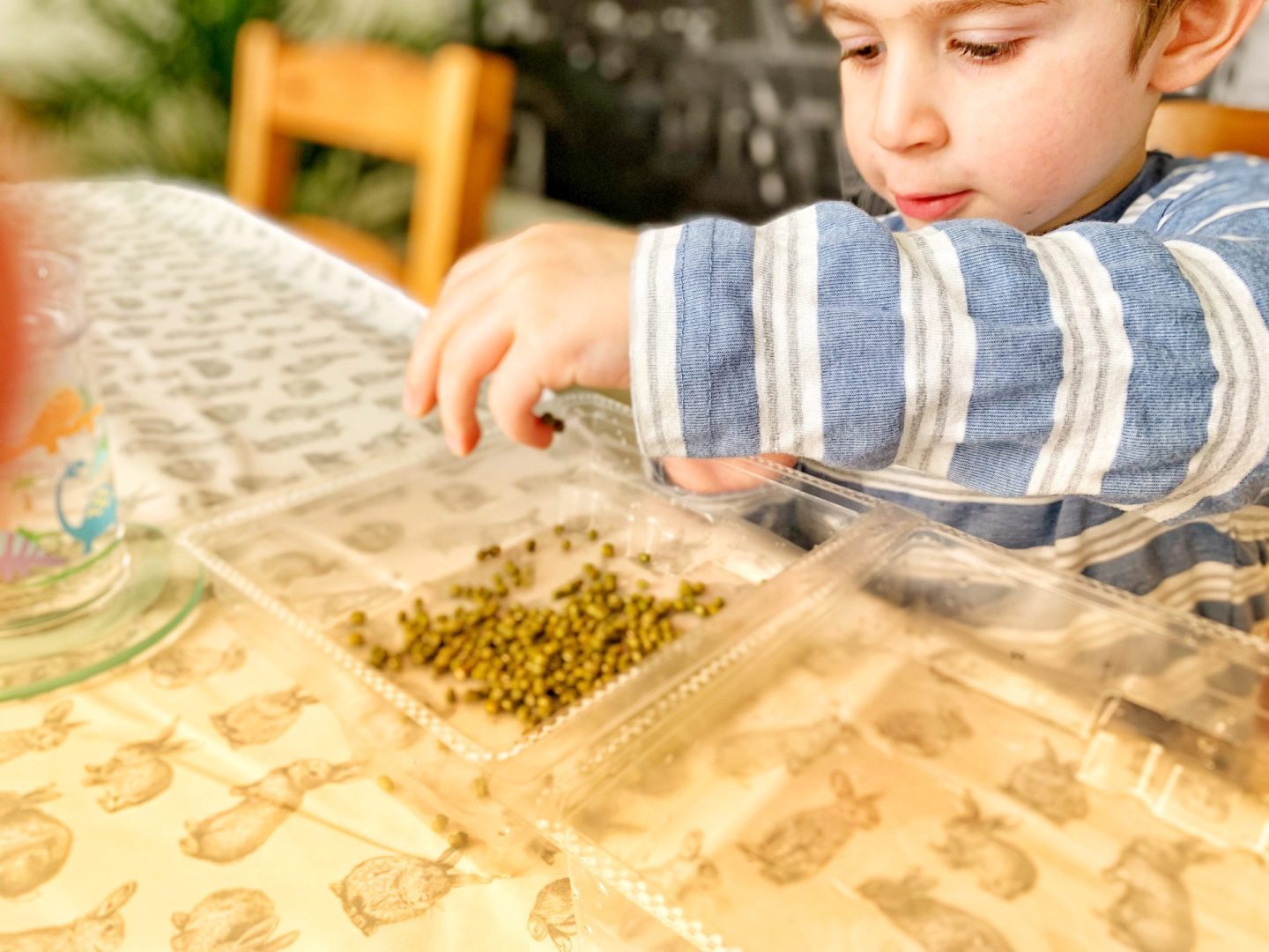 A small boy fills a container with beans