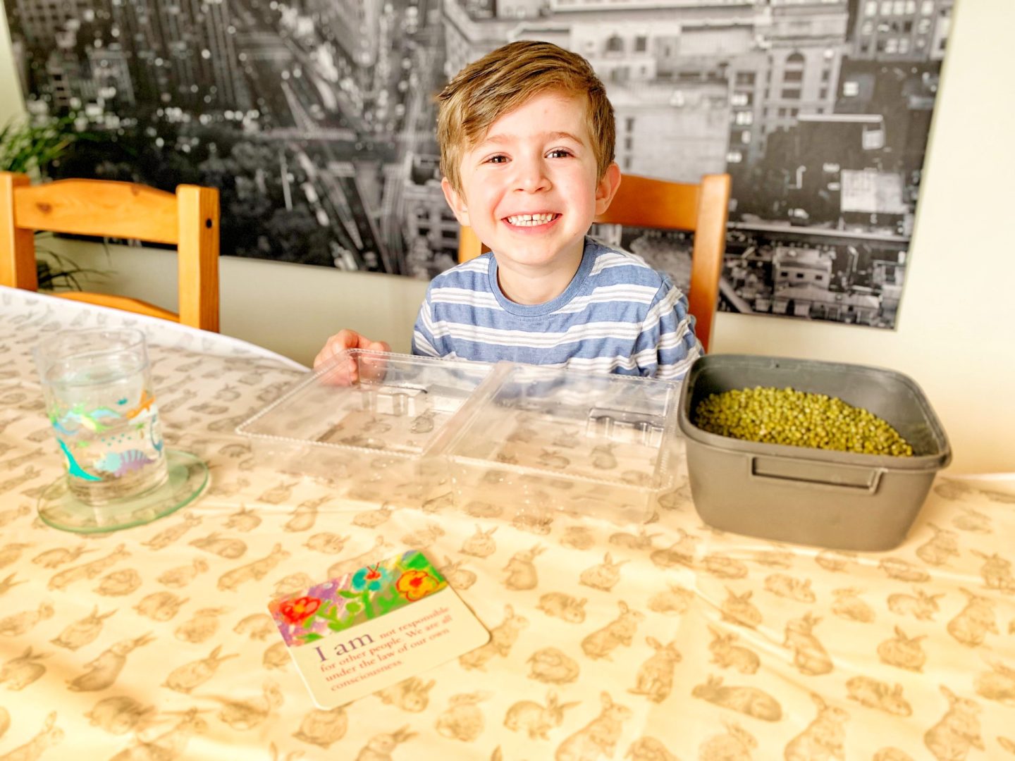 growing sabzeh for Nowruz