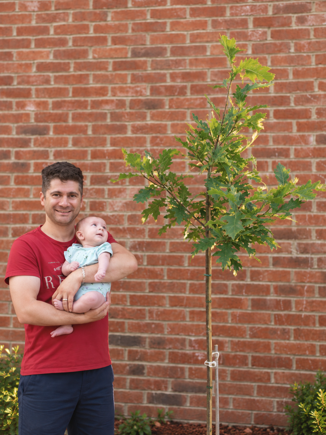 H with Cyrus and the osk tree